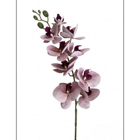 Ramo Orchidea Pink h 95