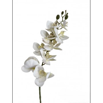 Orchidea white h 95