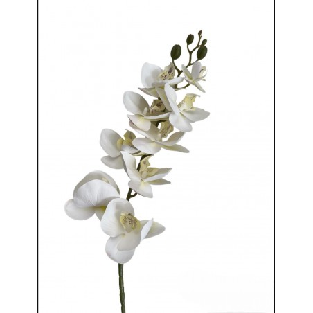 Orchidea white h 95