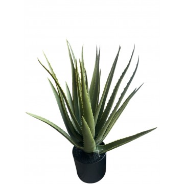Piantala Aloe 45*45*70Cm,...