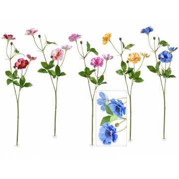 5 Rami di ranuncolo...