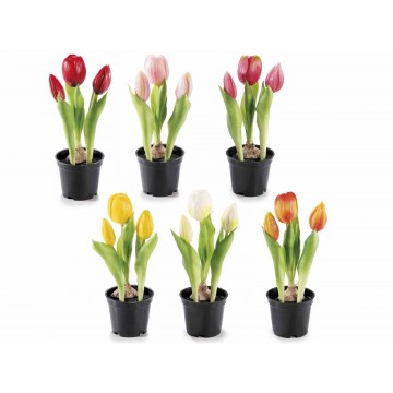 Vasetto con 3 tulipani...